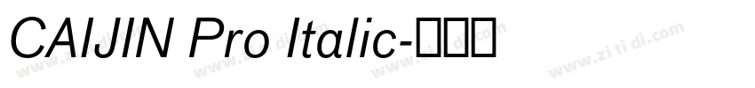 CAIJIN Pro Italic字体转换